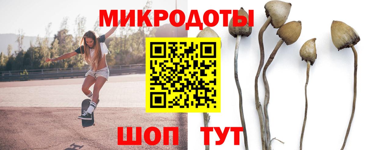 Нижний Новгород  Псилоцибиновые грибы мухоморы  Вход с VPN 